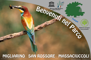 Parco di Migliarino Massaciuccoli San Rossore 46